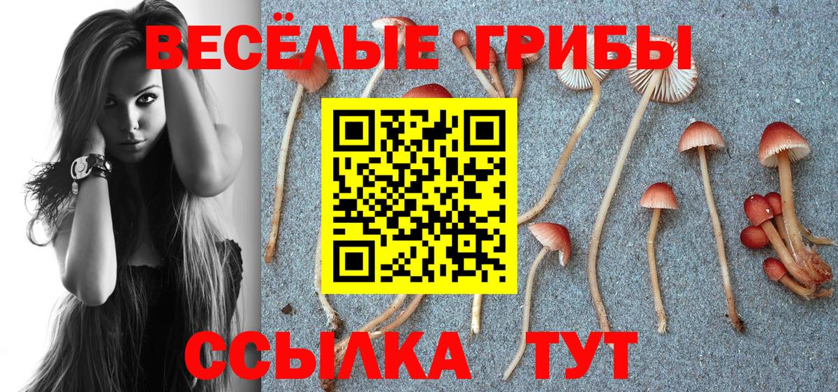 Галлюциногенные грибы MAGIC MUSHROOMS Набережные Челны